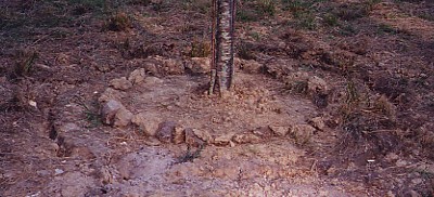 Définir l'emplacement des perches