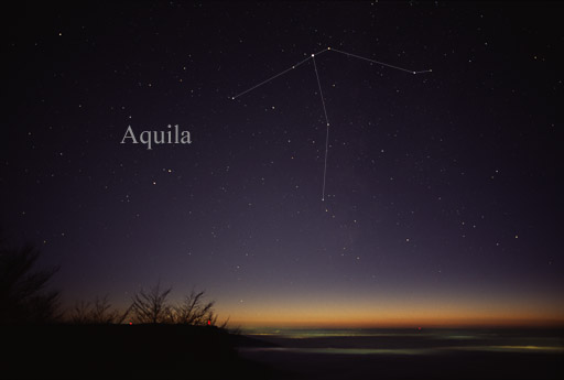 Constellation de l'Aigle