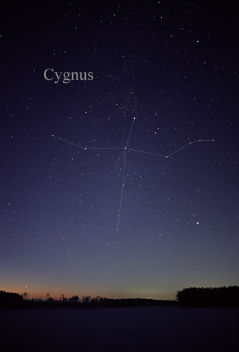 Constellation du Cygne