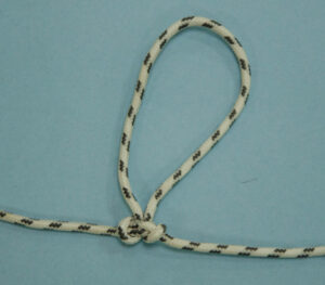 Le papillon des Alpes arton188-4b8