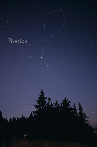 Constellation du Bouvier