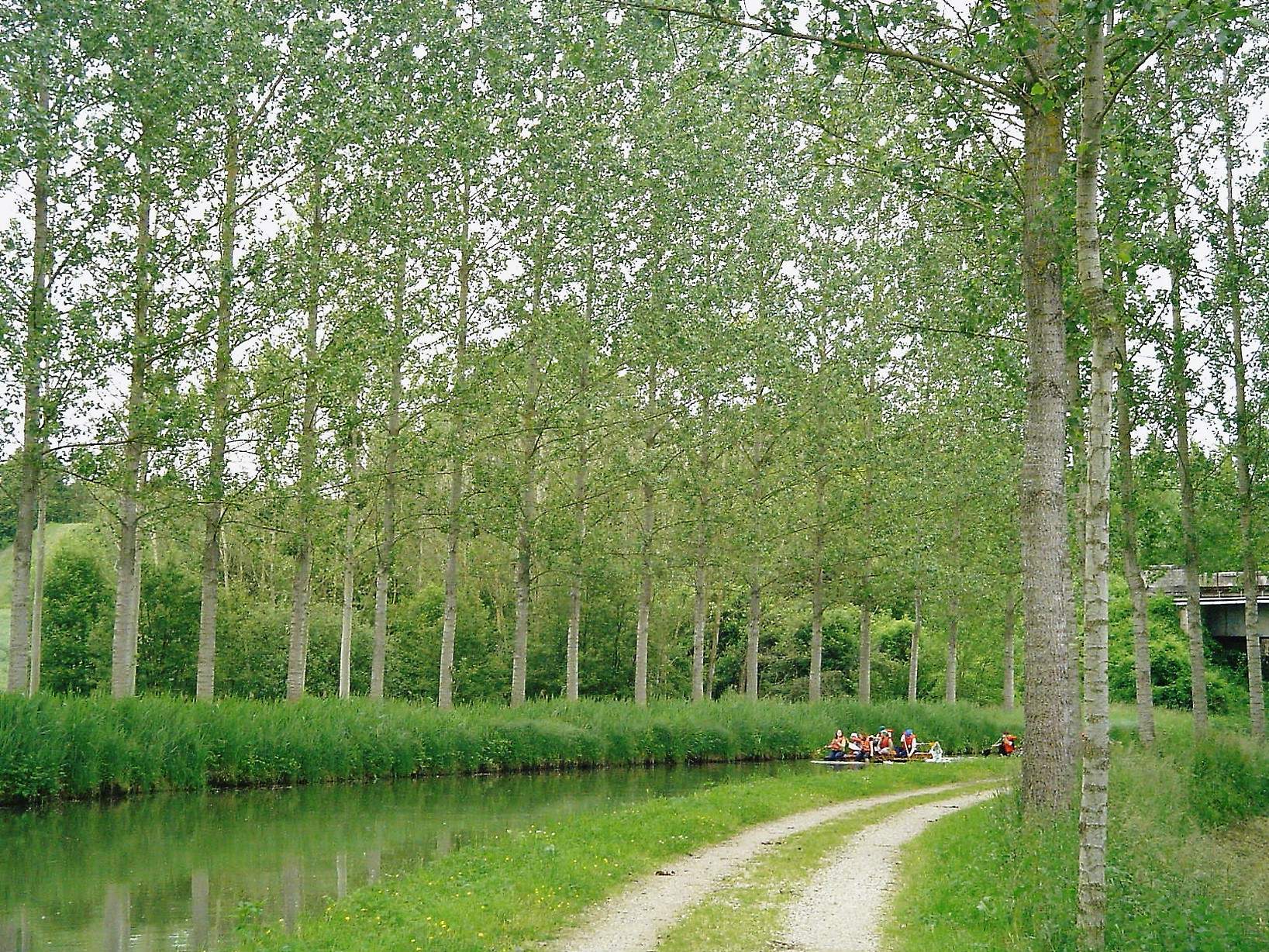 015jour2.jpg