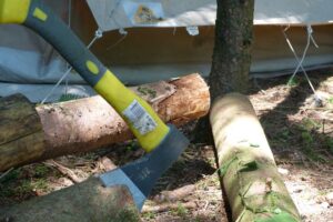 Abattre un arbre à la hache arton265-b8f