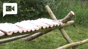 Table modulo arton119-51e