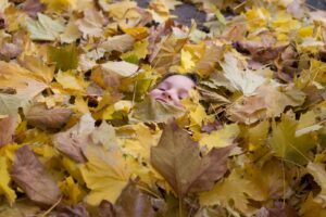 Tendre une embuscade arton690-750