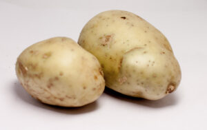 La soupe monstrueuse arton787-aa0