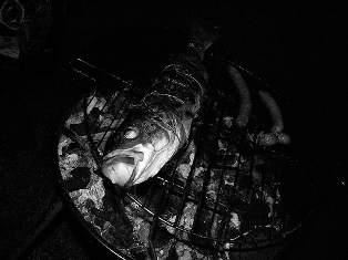 Le repas dans le noir…