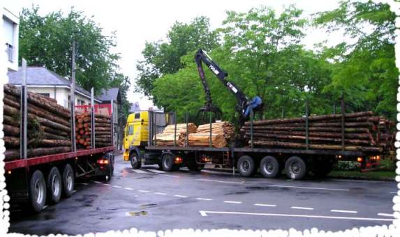 A 6h30 les 2 semi remorques de perches bloquent la route en centre ville devant la MJC de SAUMUR