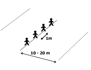 Chameaux / Chamois