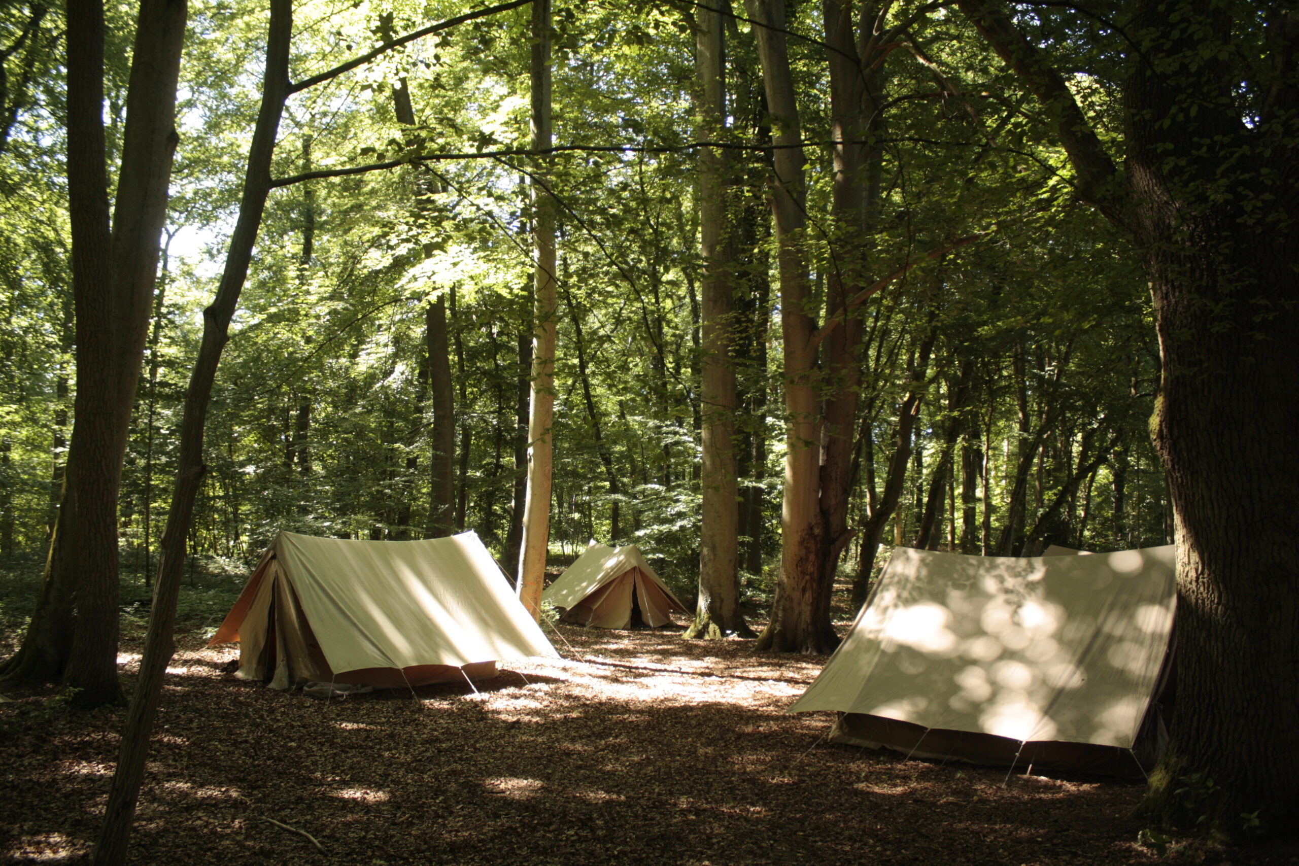 6 méthodes pour trouver un lieu de camp scout