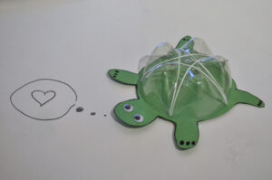 Des tortues originales arton5038-b7a