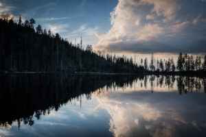 Si je pouvais vivre une nouvelle fois ma vie ... arton5241-302