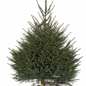 23 extrajobs comparés, lequel feras-tu ? arton5595-bc9