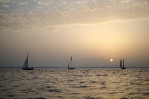 Construis ta station météo arton6228-65e