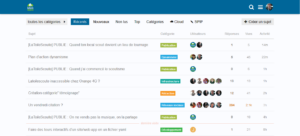 Comment fonctionne LaToileScoute en 2016 ? capture-24.png