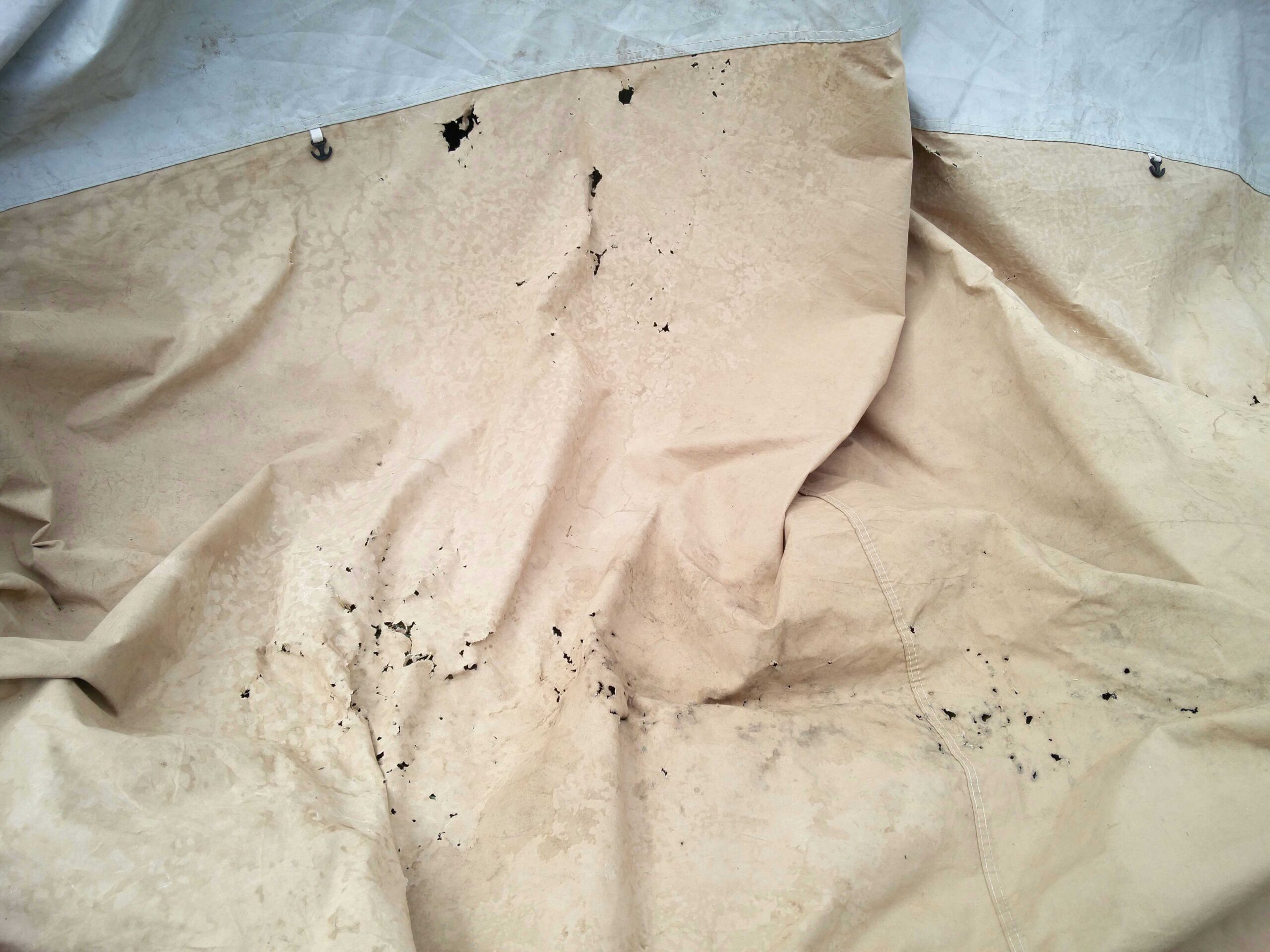 Une toile avec des trous de moisi