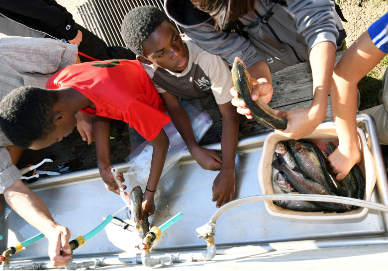 refugee_scouts_004.jpg