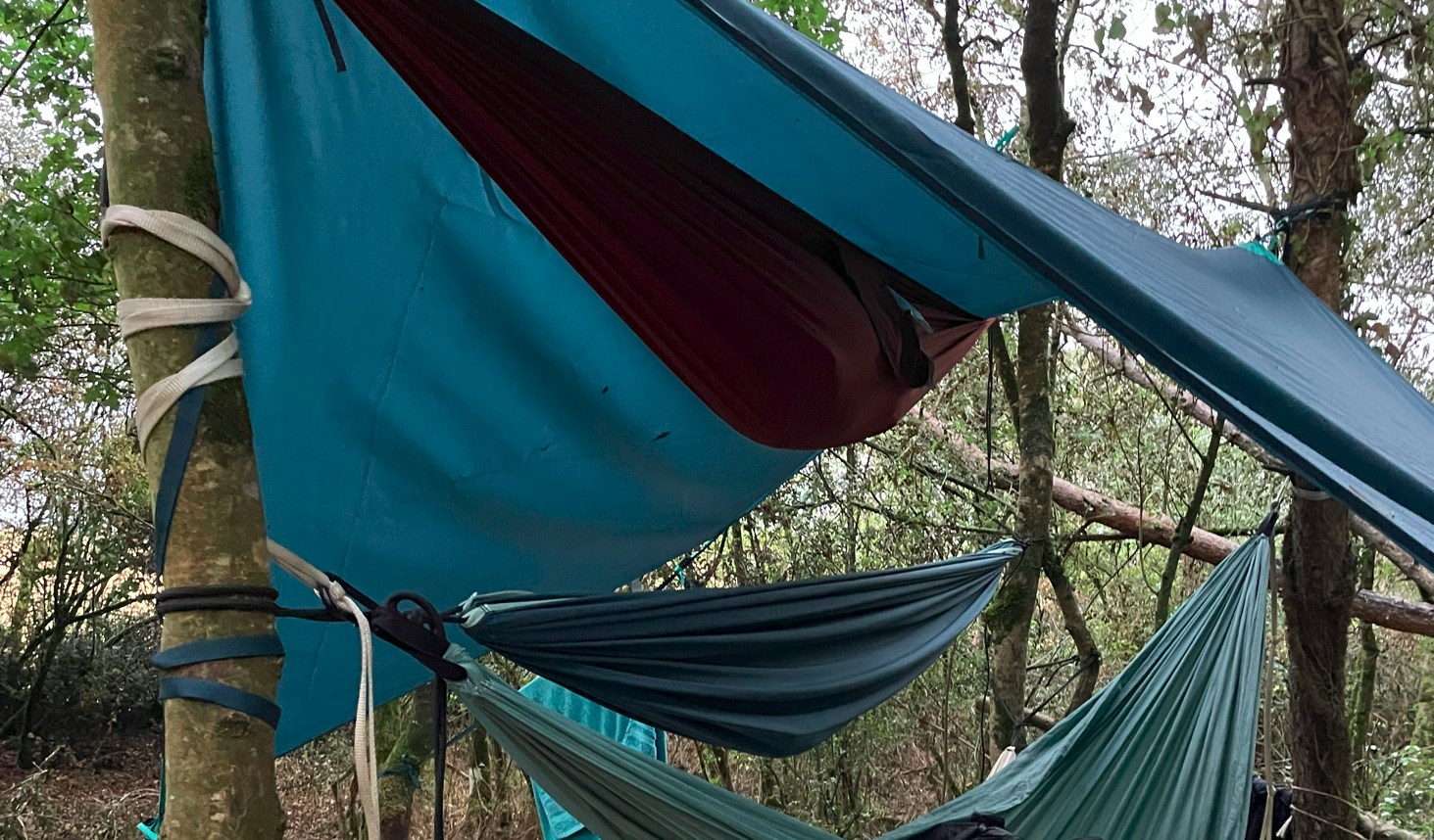 Le tarp : l’abri ultra-polyvalent