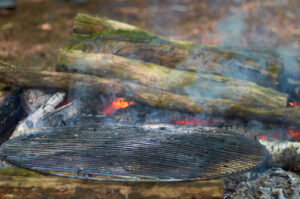 Pomme de terre Mariette arton6804-49a