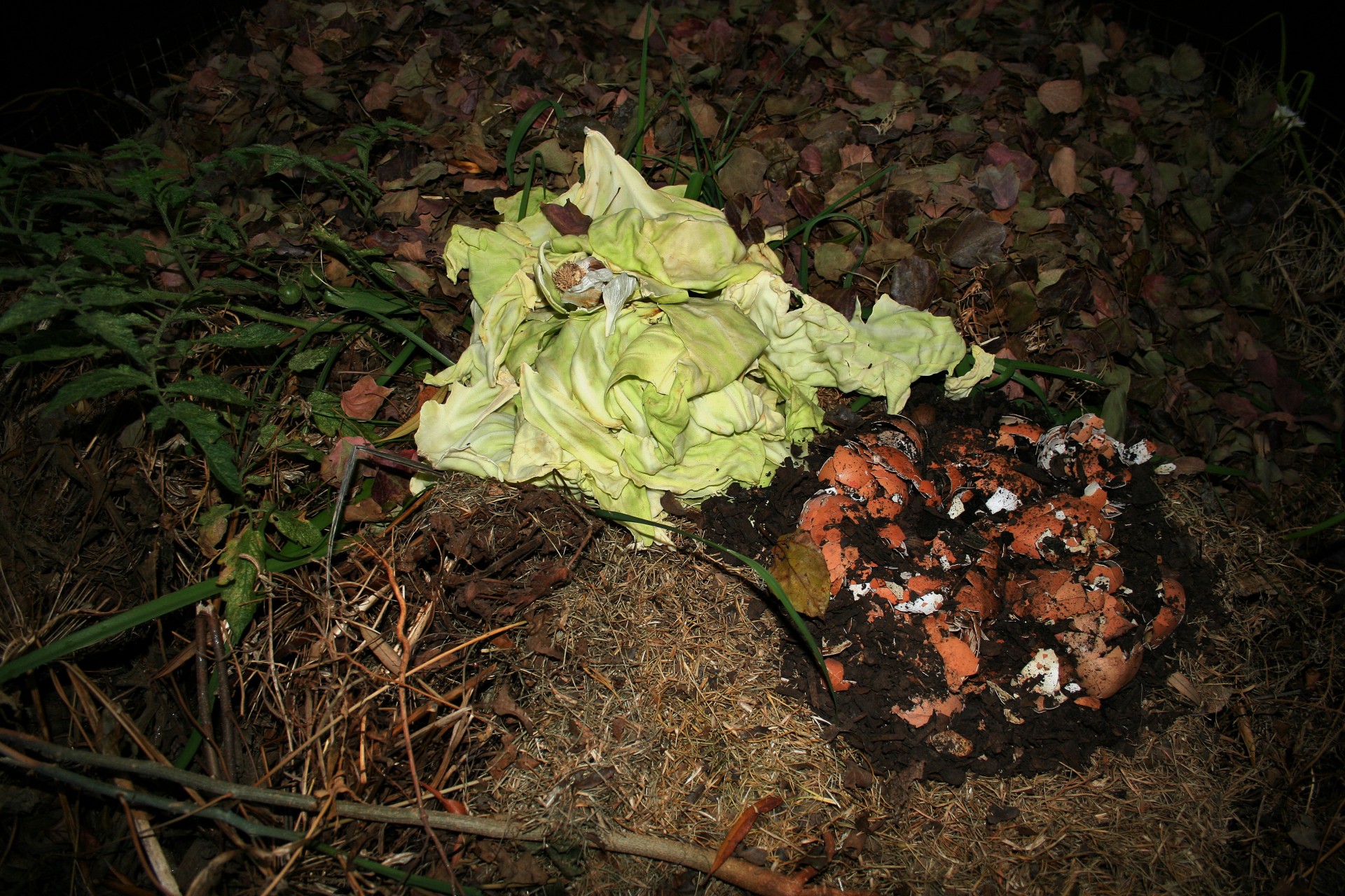 Ne fais pas de compost en camp !