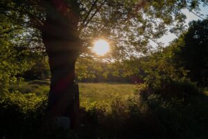 Trouver un lieu de camp scout : la méthode routard arton5214-a80