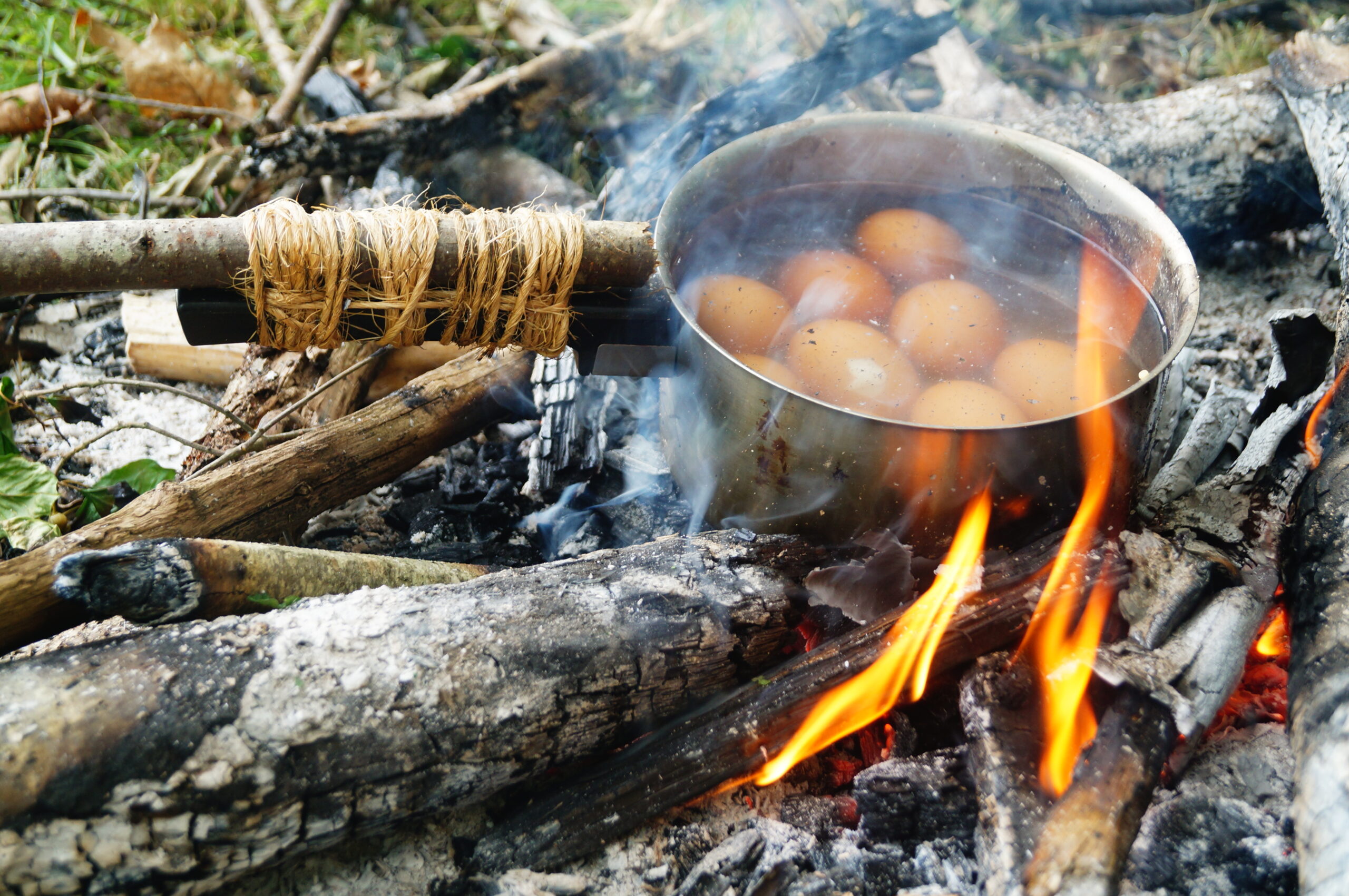 Cuire des oeufs