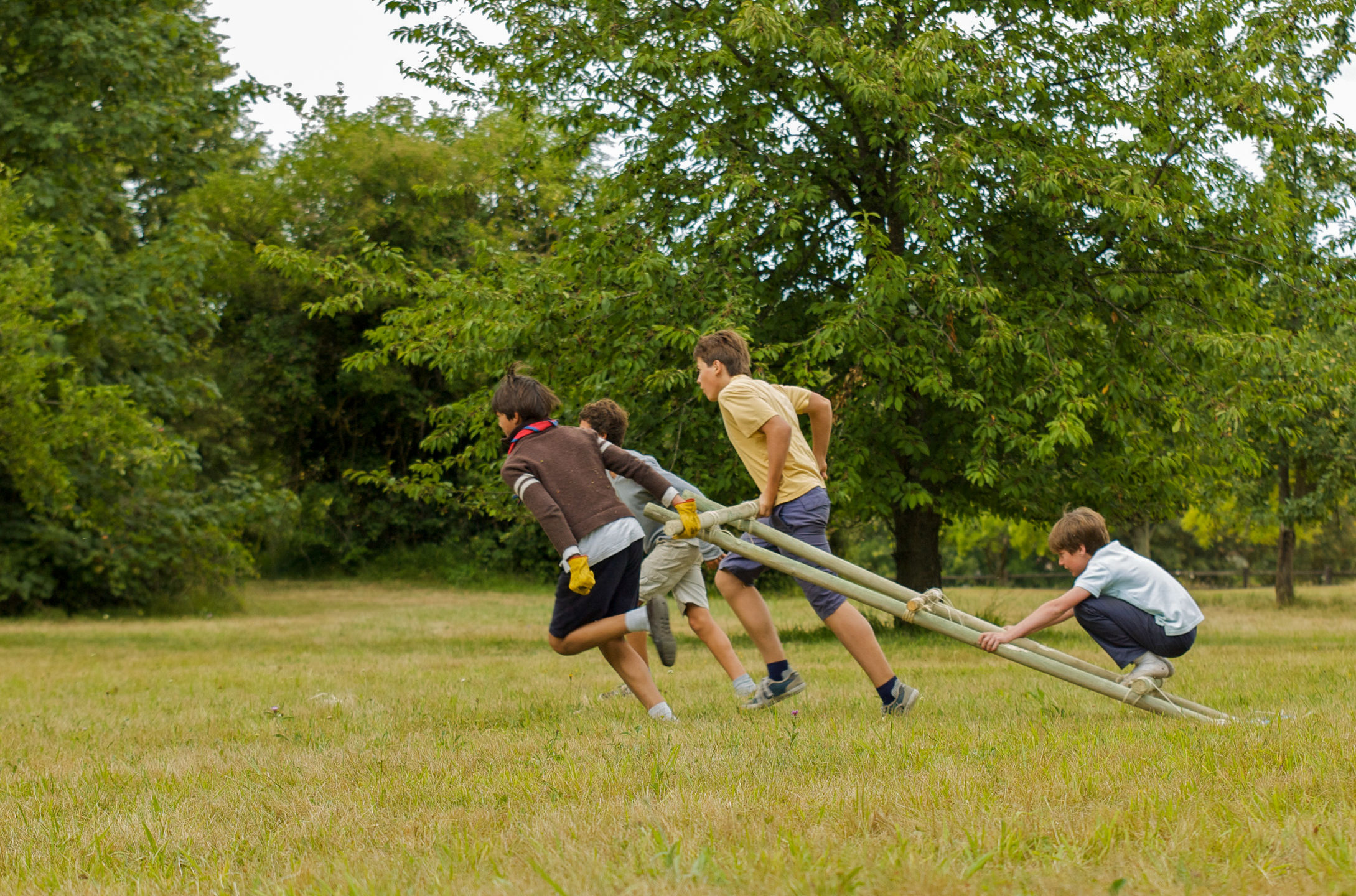 Les courses de chars